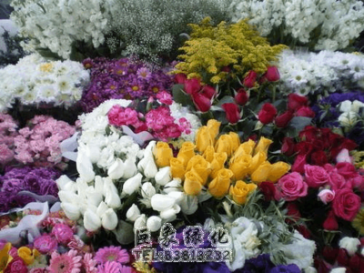 我國(guó)花卉市場(chǎng)的現(xiàn)狀及發(fā)展趨勢(shì)簡(jiǎn)析